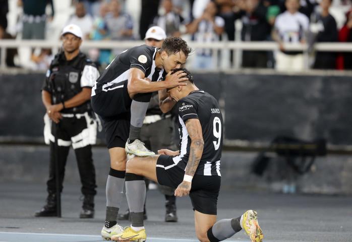 Botafogo faz as pazes com a vitória em casa