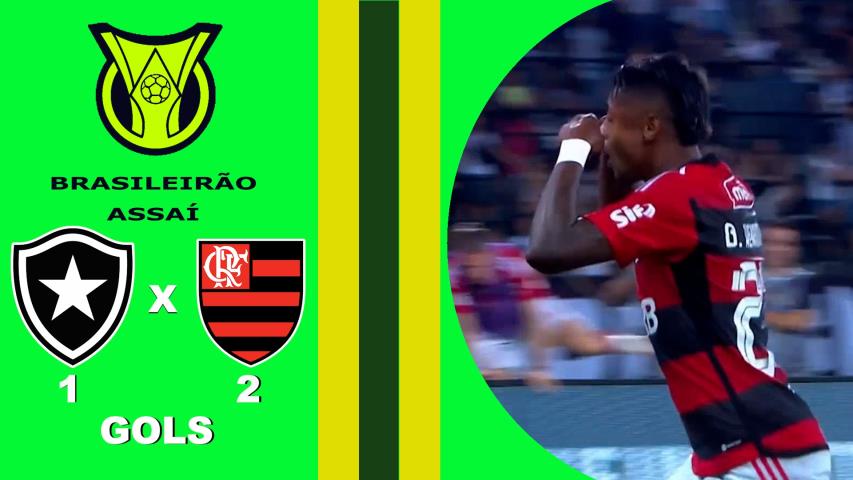 Botafogo 1x2 Flamengo - 22ª Rodada - Brasileiro Serie a 2023